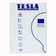 Tesla Λάμπα LED E 27 GLOBΕ, CRYSTAL RETRO FILAMENT, 8W 1055 lm Θερμό φως 